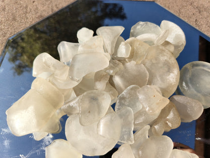 1 Pound of White Ocean Tumbled Seaglass Grades A & B